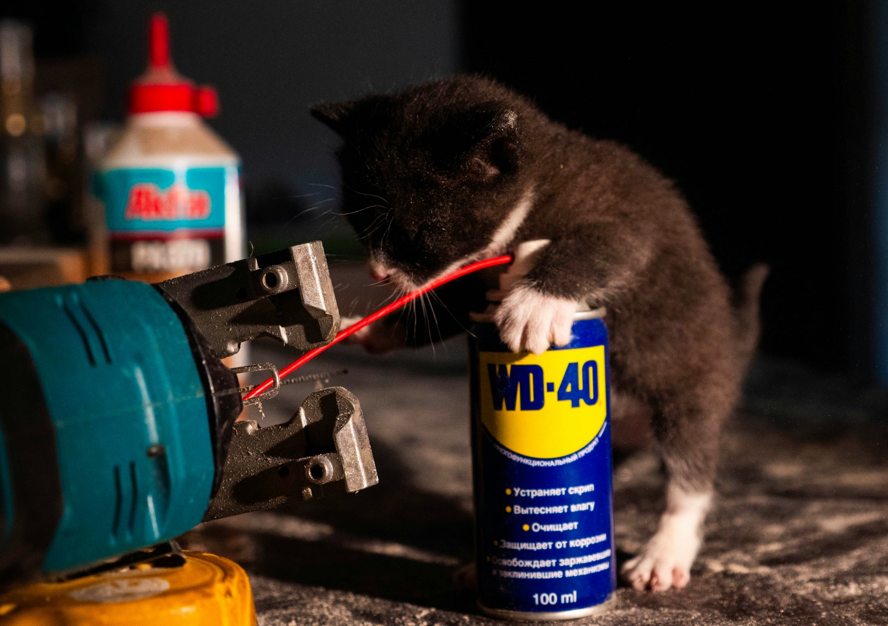 Sprühdose mit Mehrzweckspray in einer Werkstatt